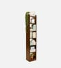 Alba 7 Shelves Book Shelf In Rolex Brown Finish