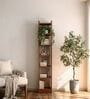 Alba 7 Shelves Book Shelf In Rolex Brown Finish