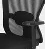 Alba Breathable Mesh Ergonomic Chair in Black Colour