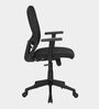 Alba Breathable Mesh Ergonomic Chair in Black Colour