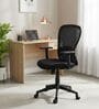 Alba Breathable Mesh Ergonomic Chair in Black Colour