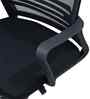 Alba Breathable Mesh Medium Back Ergonomic Chair In Black Colour