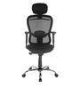 Alba Breathable Mesh Ergonomic Chair in Black Colour with Headrest