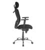 Alba Breathable Mesh Ergonomic Chair in Black Colour with Headrest
