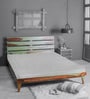 Albin Queen Size Bed In Vintage Green Colour