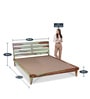 Albin Queen Size Bed In Vintage Green Colour