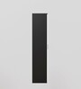Albite 2 Door Wardrobe In Black & White Finish