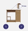 Alcor Study Table in Urban Teak Finish