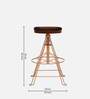 Aldan Metal Bar Stool In Copper Finish