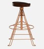 Aldan Metal Bar Stool In Copper Finish
