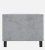 Alejandro Velvet 1 Seater Sofa In Cool Grey Colour