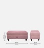Alexa Bench in Pink Colour with Storage