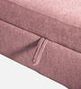 Alexa Bench in Pink Colour with Storage