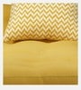 Alexa Double Futon in Ochre Colour with Mattress