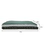 Double Futon in Green & Brown Colour with Mattress