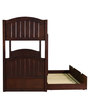 Alexander Bunk Bed with Pull Out Bed in Wenge Finish