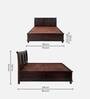 Alexander Sheesham Wood King Size Bed in Dark Walnut Finish with Hydraulic Storage