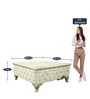 Alexandra Coffee Table in Oxford White Colour