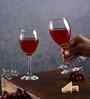 Alexendra Set of 6 Crystal Lead Free Glass 245ml Wine Glasses
