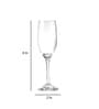 Alexendra Superior 185ml (Set of 6) Champagne Glass