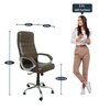 Alfred Office chair in Brown Colour