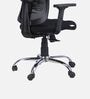 Align Pro Ergonomic Office Chair with Adjustable Lumbar Support and Headrest in Black Colour