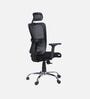 Align Pro Ergonomic Office Chair with Adjustable Lumbar Support and Headrest in Black Colour
