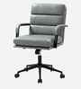 Alina Leatherette Executive Chair In Sage Colour