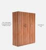 Alister 3 Door Wardrobe In Brown Color