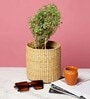 (1Pc) Beige Kouna Grass Handwoven Multipurpose Planter & Storage Basket