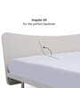 Allen Queen Size Bed in White Finish