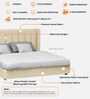 Allison Velvet King Size Bed in Beige Colour