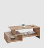Allium Coffee Table In Exotic Teak Finish