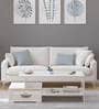 Allium Coffee Table In Frosty White Finish