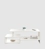 Allium Coffee Table In Frosty White Finish