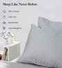 Alloy Step Design 300 TC 100% Cotton King Size Fitted Bed Sheet With 2 Pillow Covers