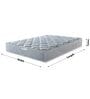 Allure Ortho Luxury Grey 8 Inch Pocket Spring & Memory Foam Mattress In Single Size