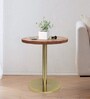 Ally Metal End Table In Brown Colour