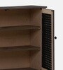 Almo 3 Door Shoe Cabinet in Fleton Oak Finish