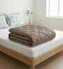 Almond Brown Impress Double 150 GSM Solid Comforter