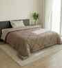 Almond Brown Impress Single 150 GSM Solid Comforter