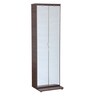 Alonzo Shoe Rack with Mirror in Brown Colour