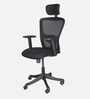 Alpha Breathable Mesh Ergonomic Chair in Black Colour with Headrest