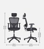 Alpha High-Back Ergonomic Executive Office Chair in Black