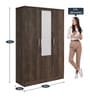 Alpha 3 Door Wardrobe With Mirror In Choco Walnut Finish
