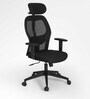 Alpine Breathable Mesh Ergonomic Chair in Black Colour with Headrest