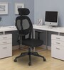 Alpine Breathable Mesh Ergonomic Chair in Black Colour with Headrest