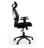 Alpine Breathable Mesh Ergonomic Chair in Black Colour with Headrest