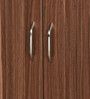 Alpine 2 Door Shoe Cabinet in Walnut Finish