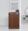 Alpine 2 Door Shoe Cabinet in Walnut Finish